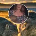 Influencer Who Took Child Wombat From Its Mother Speaks Out Amid Outrage