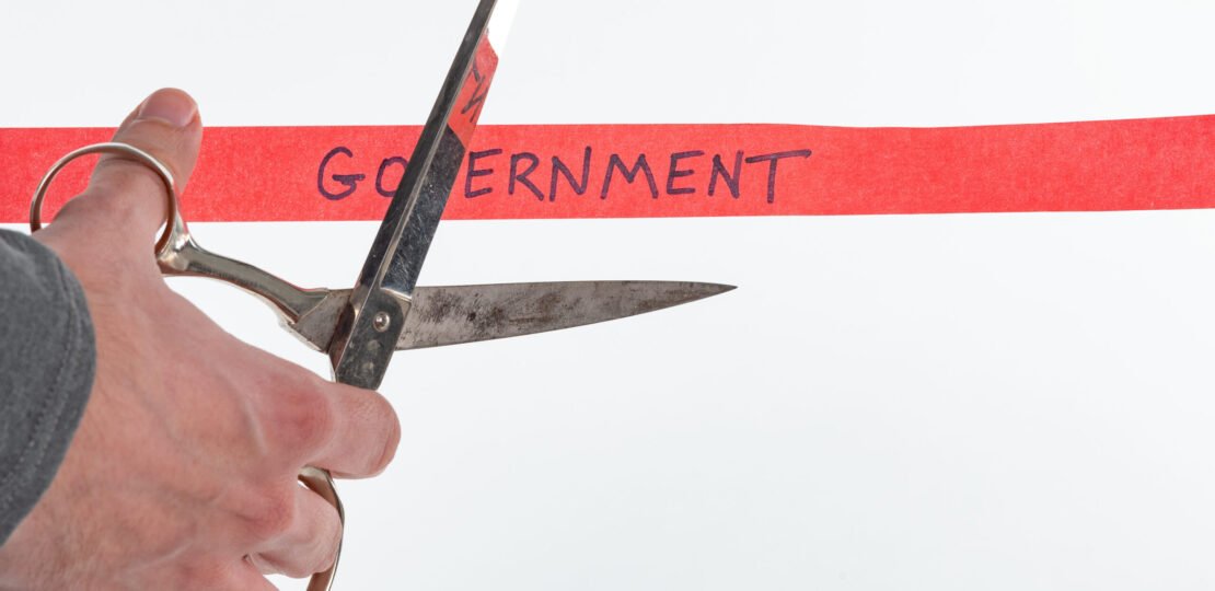 government-scaled.jpg