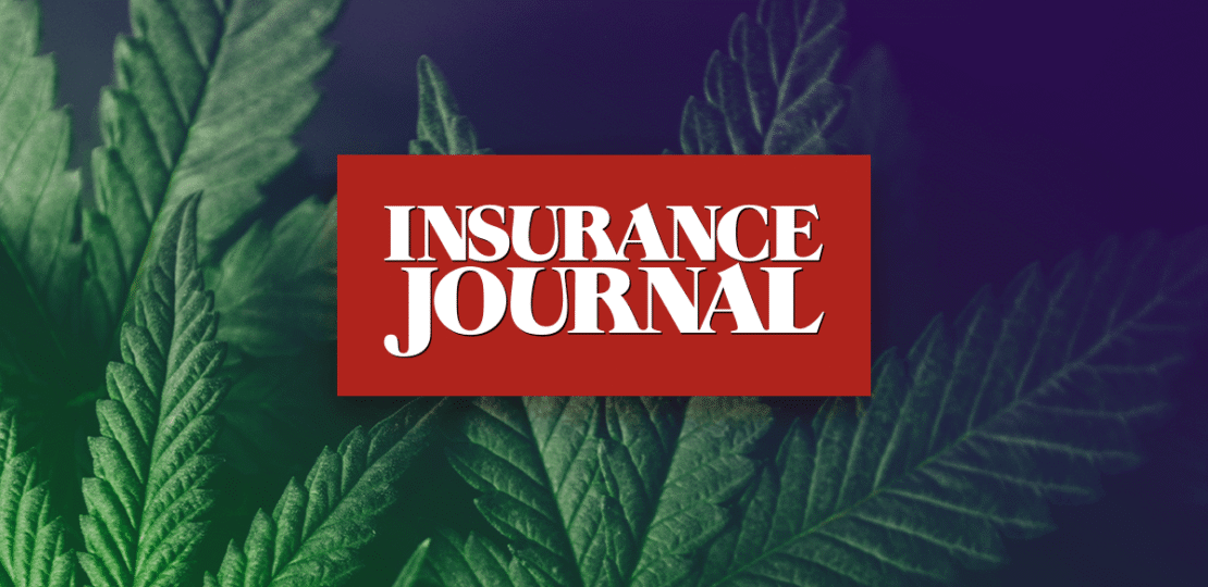 ij-social-cannabis-1200×630.png