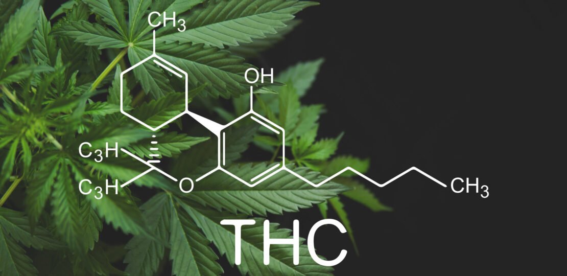thc-scaled.jpg